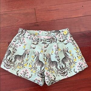 Kids Zebra Print Shorts - Pastel Green and Pink